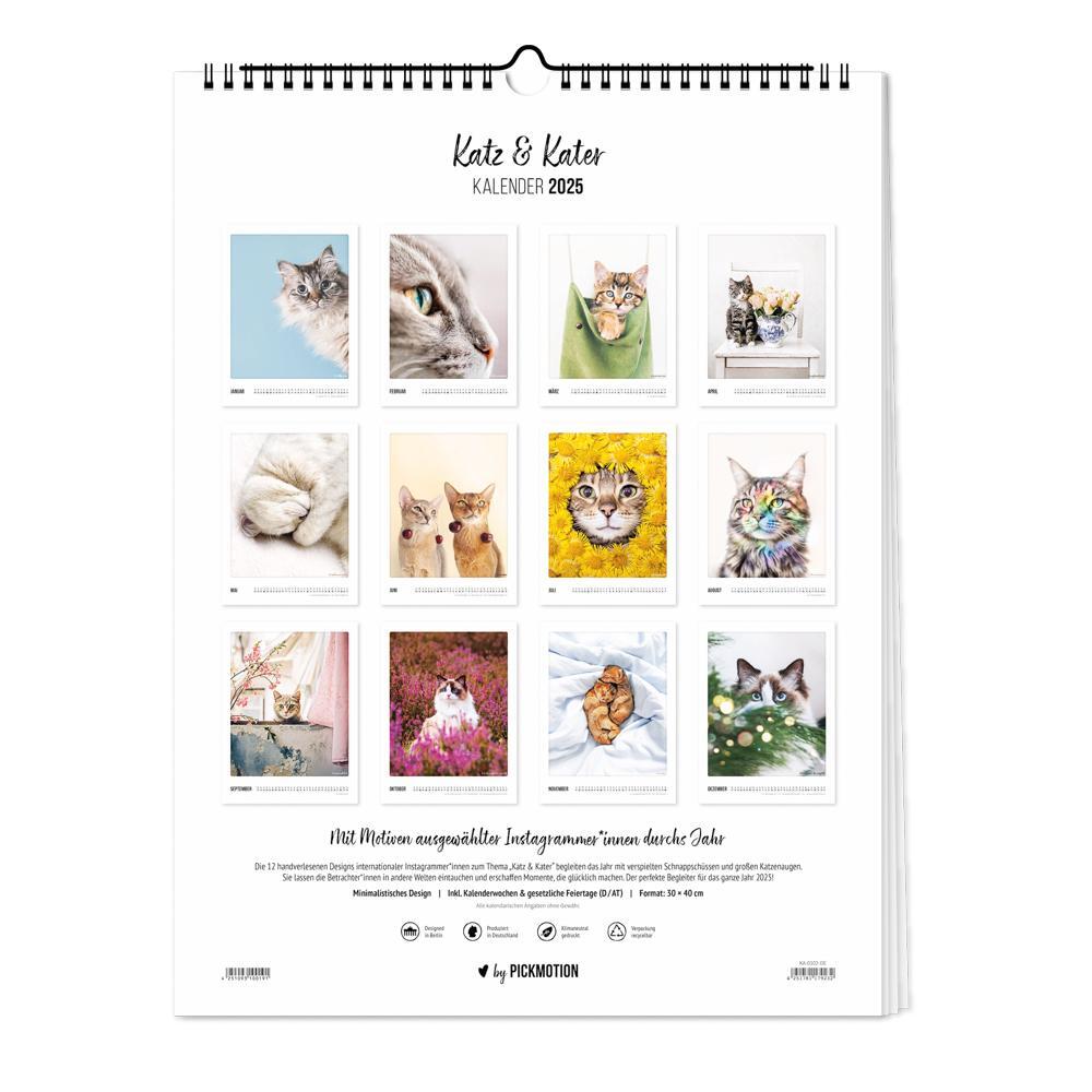 Bild: 4251781179232 | Wandkalender 2025 - Katz &amp; Kater | Pickmotion | Kalender | Deutsch