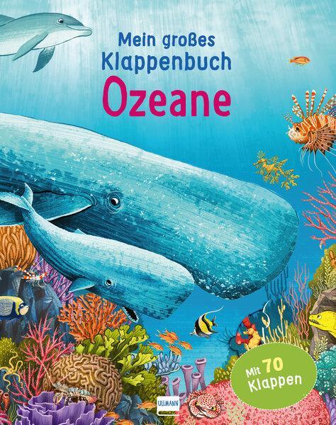 Cover: 9783741525384 | Mein großes Klappenbuch - Ozeane | Anita Ganeri | Buch | Deutsch