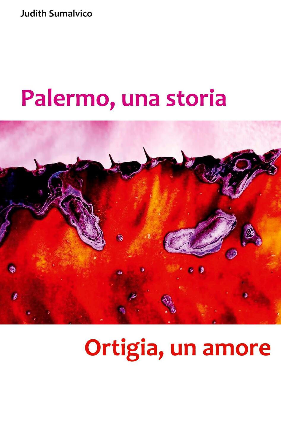 Cover: 9783756212224 | Palermo, una storia - Ortigia, un amore | Judith Sumalvico | Buch