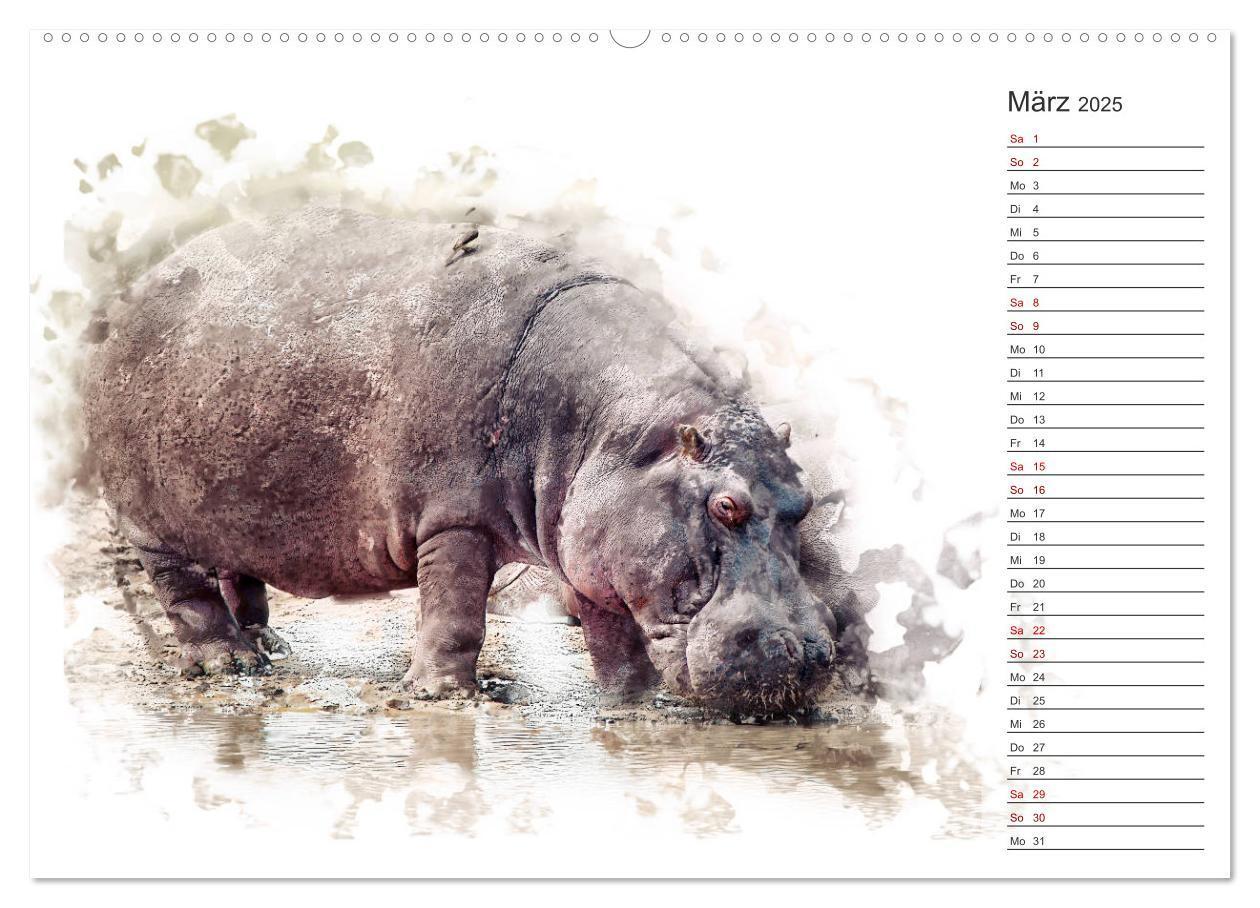 Bild: 9783435403387 | Tierportraits - Fine Art (Wandkalender 2025 DIN A2 quer), CALVENDO...