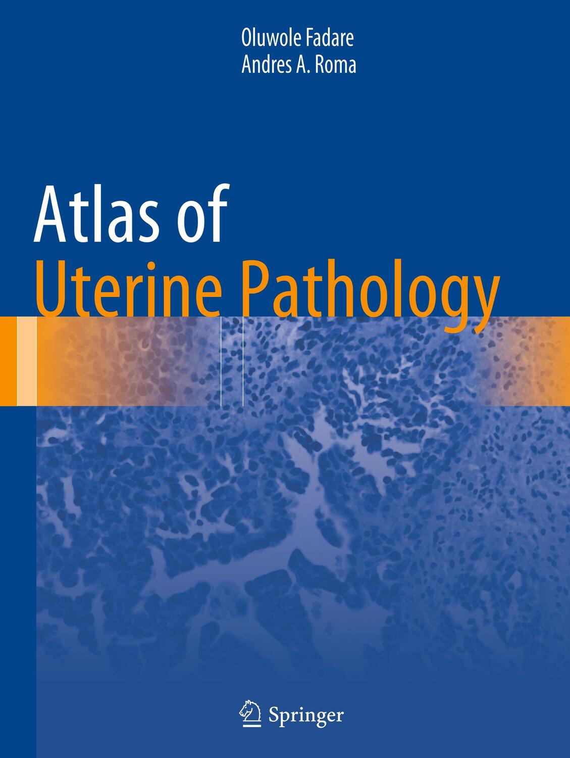 Cover: 9783030179335 | Atlas of Uterine Pathology | Andres A. Roma (u. a.) | Taschenbuch