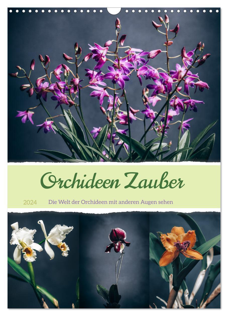 Cover: 9783675915053 | Orchideen Zauber (Wandkalender 2024 DIN A3 hoch), CALVENDO...