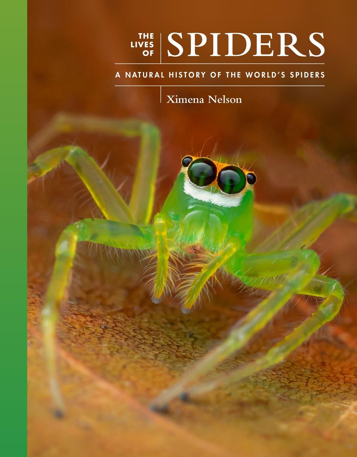 Cover: 9780691255026 | The Lives of Spiders | A Natural History of the World's Spiders | Buch