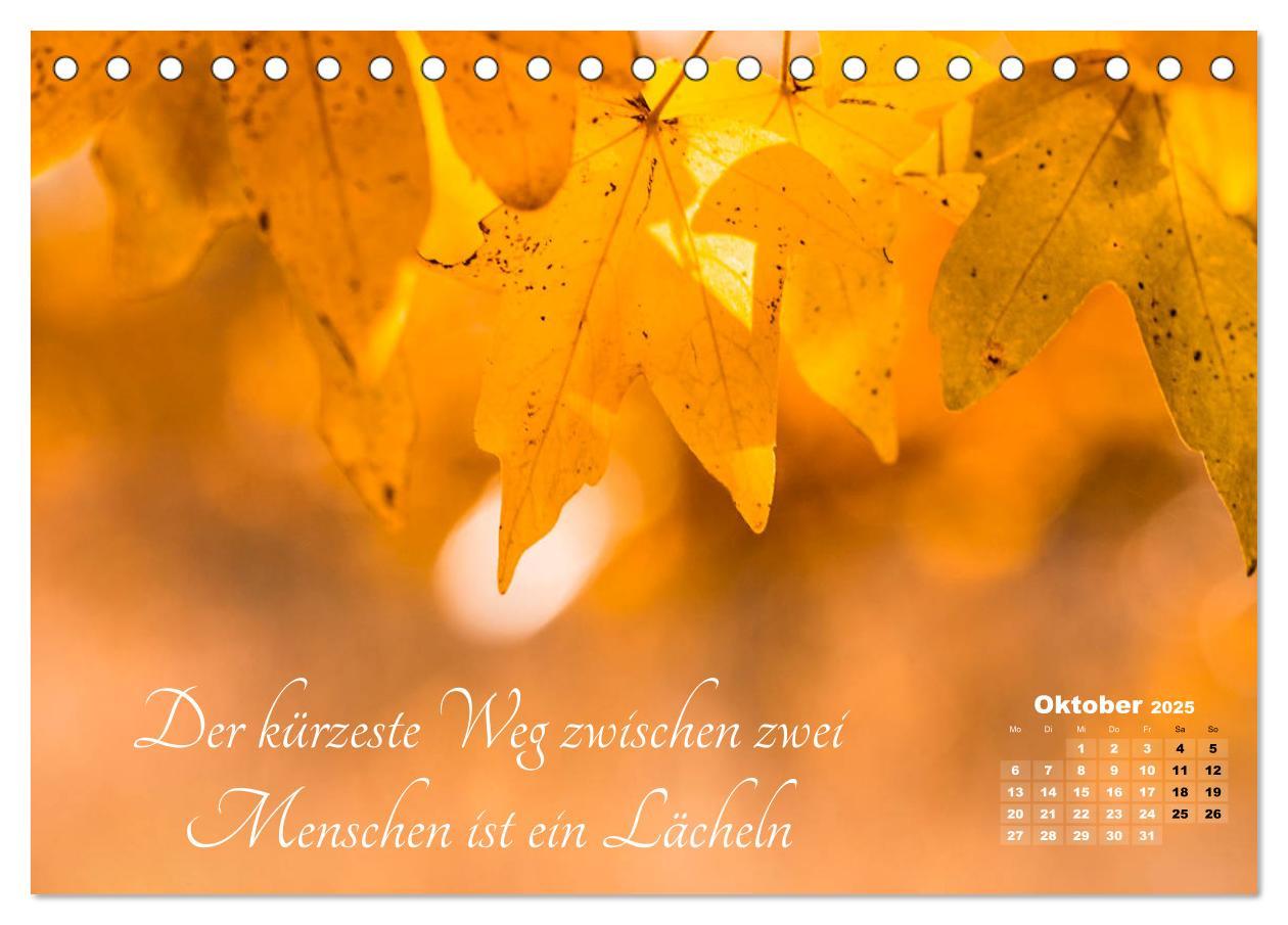 Bild: 9783435249077 | Chinesische Weisheiten (Tischkalender 2025 DIN A5 quer), CALVENDO...