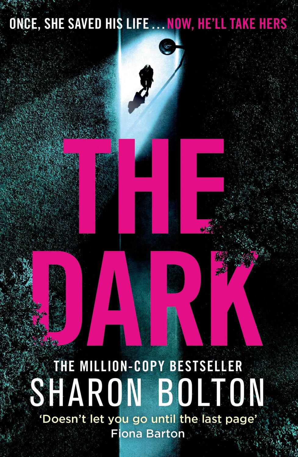 Cover: 9781409198369 | The Dark | Sharon Bolton | Taschenbuch | 464 S. | Englisch | 2022