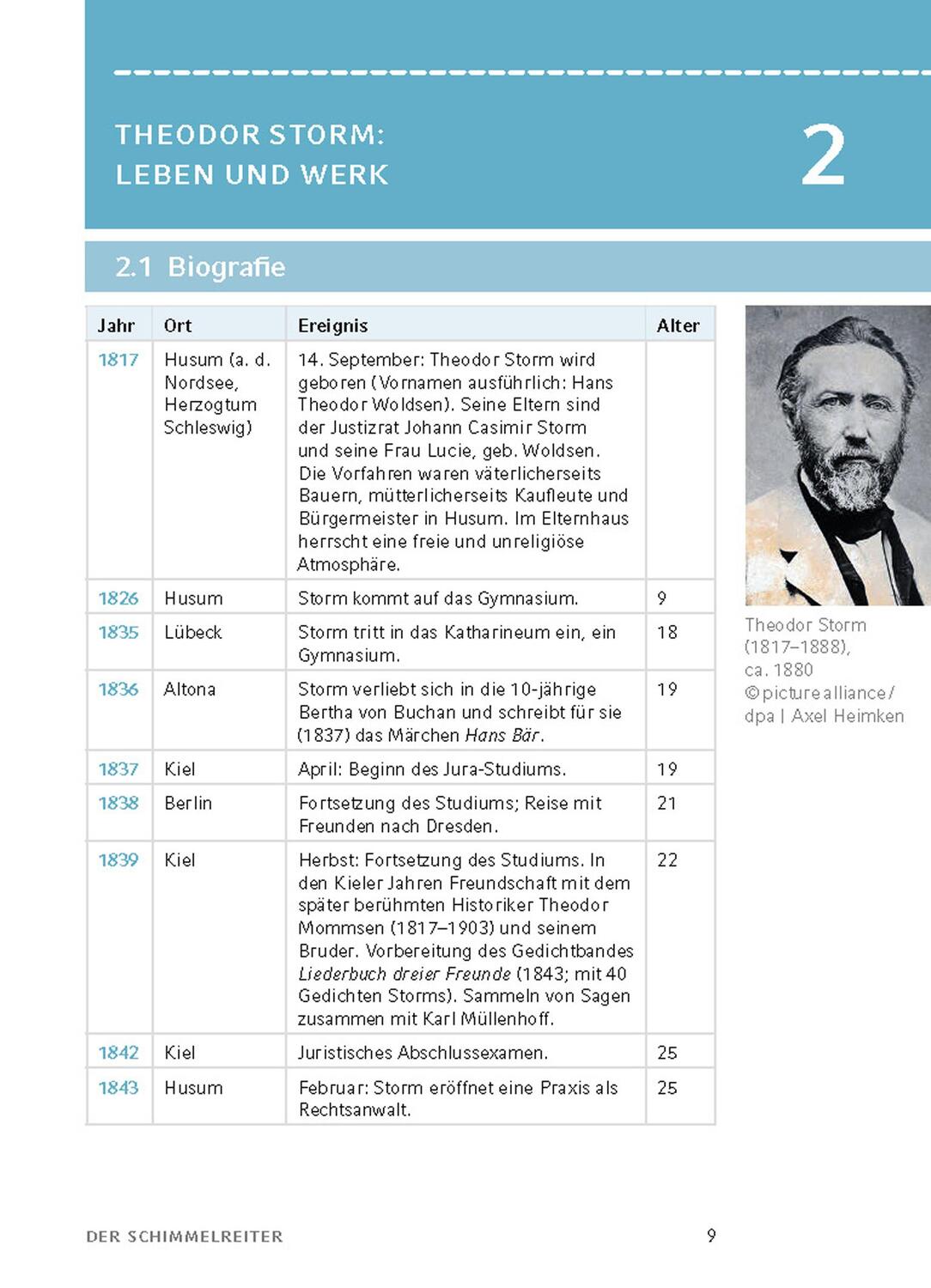 Bild: 9783804420960 | Der Schimmelreiter von Theodor Storm. | Theodor Storm | Taschenbuch