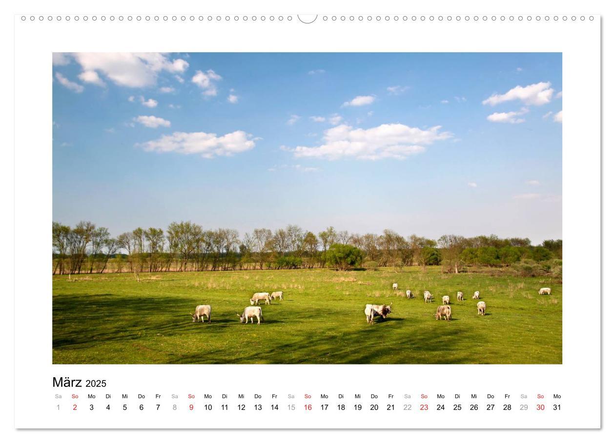 Bild: 9783435681839 | Westungarn - Schönheit und Geheimnis (Wandkalender 2025 DIN A2...