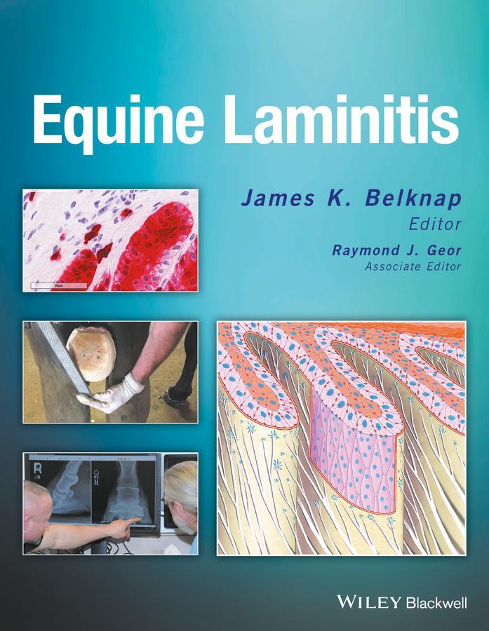 Cover: 9781119944713 | Equine Laminitis | James K Belknap | Buch | 480 S. | Englisch | 2017