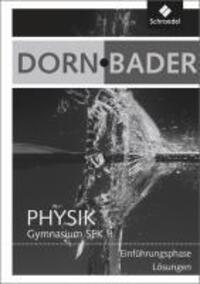 Cover: 9783507107793 | Dorn / Bader Physik SII. Lösungen. Einführungsphase für Hessen und...