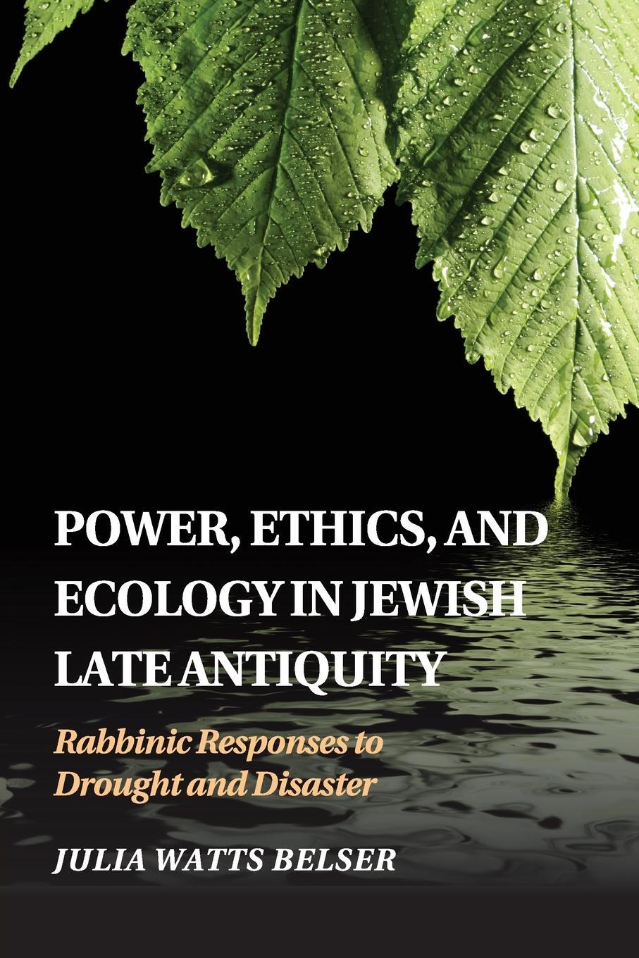 Cover: 9781107533929 | Power, Ethics, and Ecology in Jewish Late Antiquity | Belser | Buch