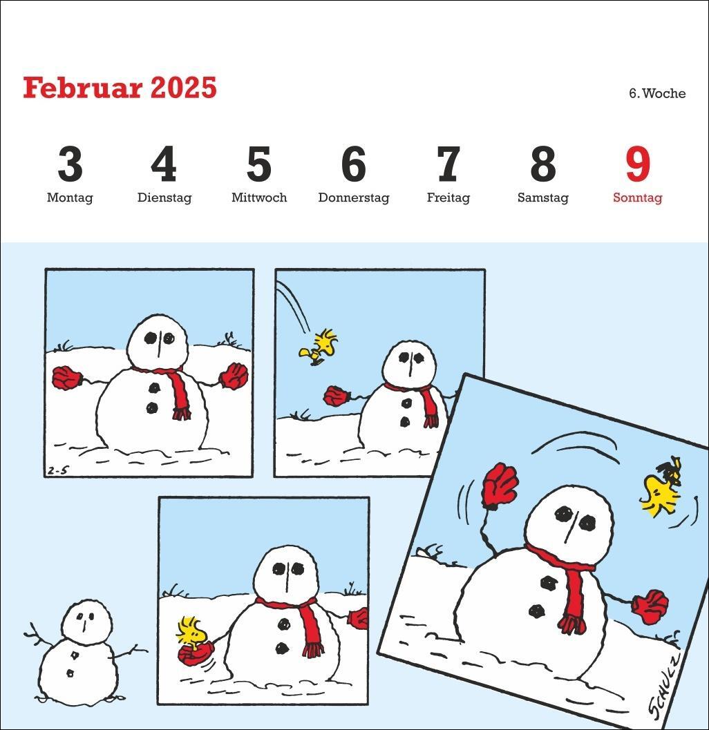 Bild: 9783756408078 | Peanuts Premium-Postkartenkalender 2025 | Heye | Kalender | 54 S.