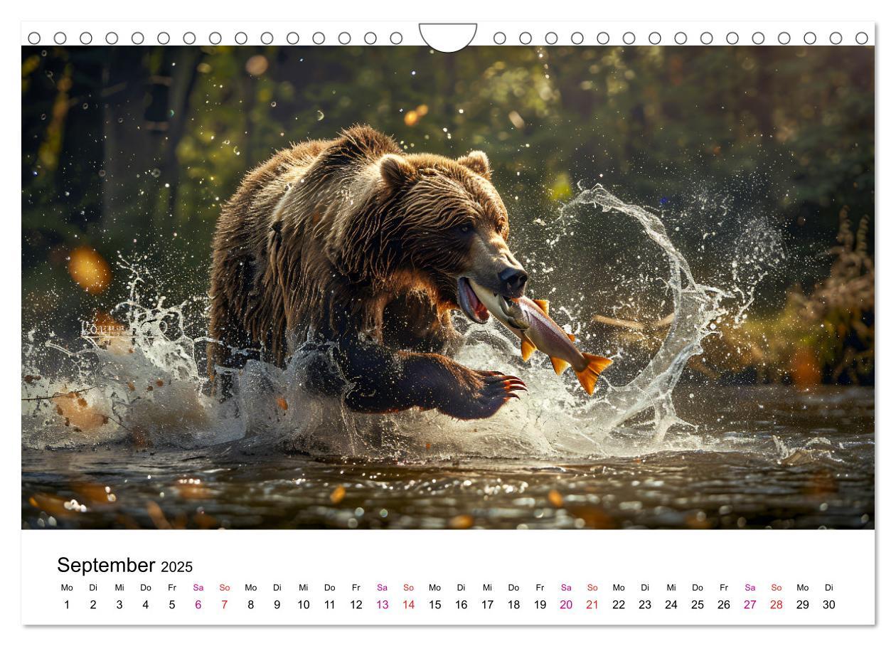 Bild: 9783457170434 | Bären - gefährlich nett (Wandkalender 2025 DIN A4 quer), CALVENDO...