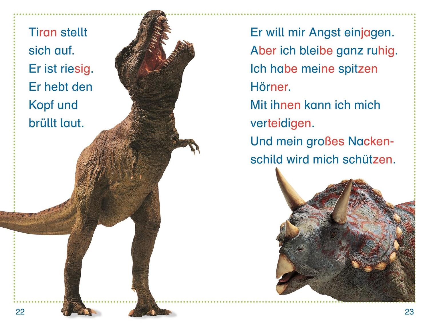 Bild: 9783831047475 | SUPERLESER! Dino in Gefahr | Susanne Böse | Buch | SUPERLESER! | 36 S.