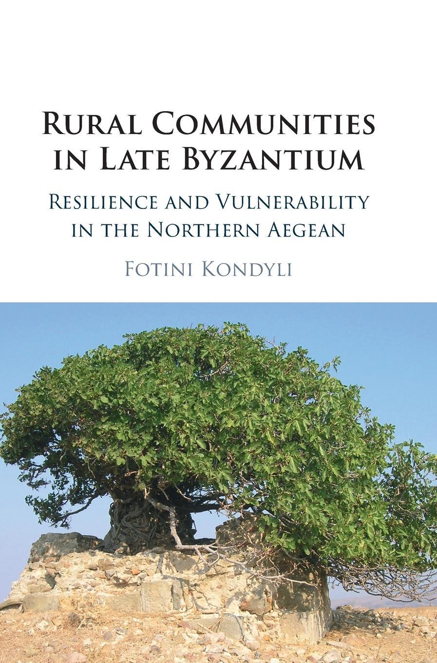 Cover: 9781108845496 | Rural Communities in Late Byzantium | Fotini Kondyli | Buch | Gebunden