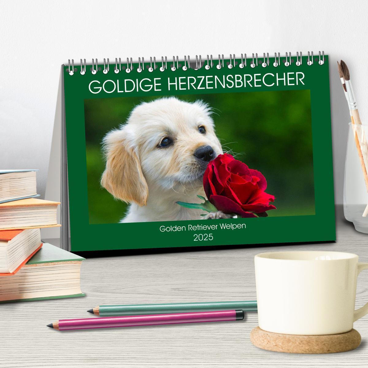 Bild: 9783435212903 | Goldige Herzensbrecher - Golden Retriever Welpen (Tischkalender...