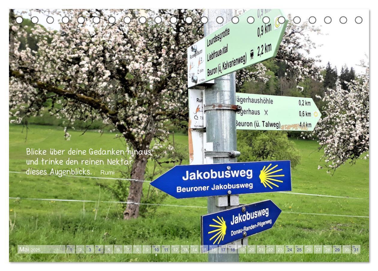 Bild: 9783435019786 | Beuroner Jakobsweg (Tischkalender 2025 DIN A5 quer), CALVENDO...