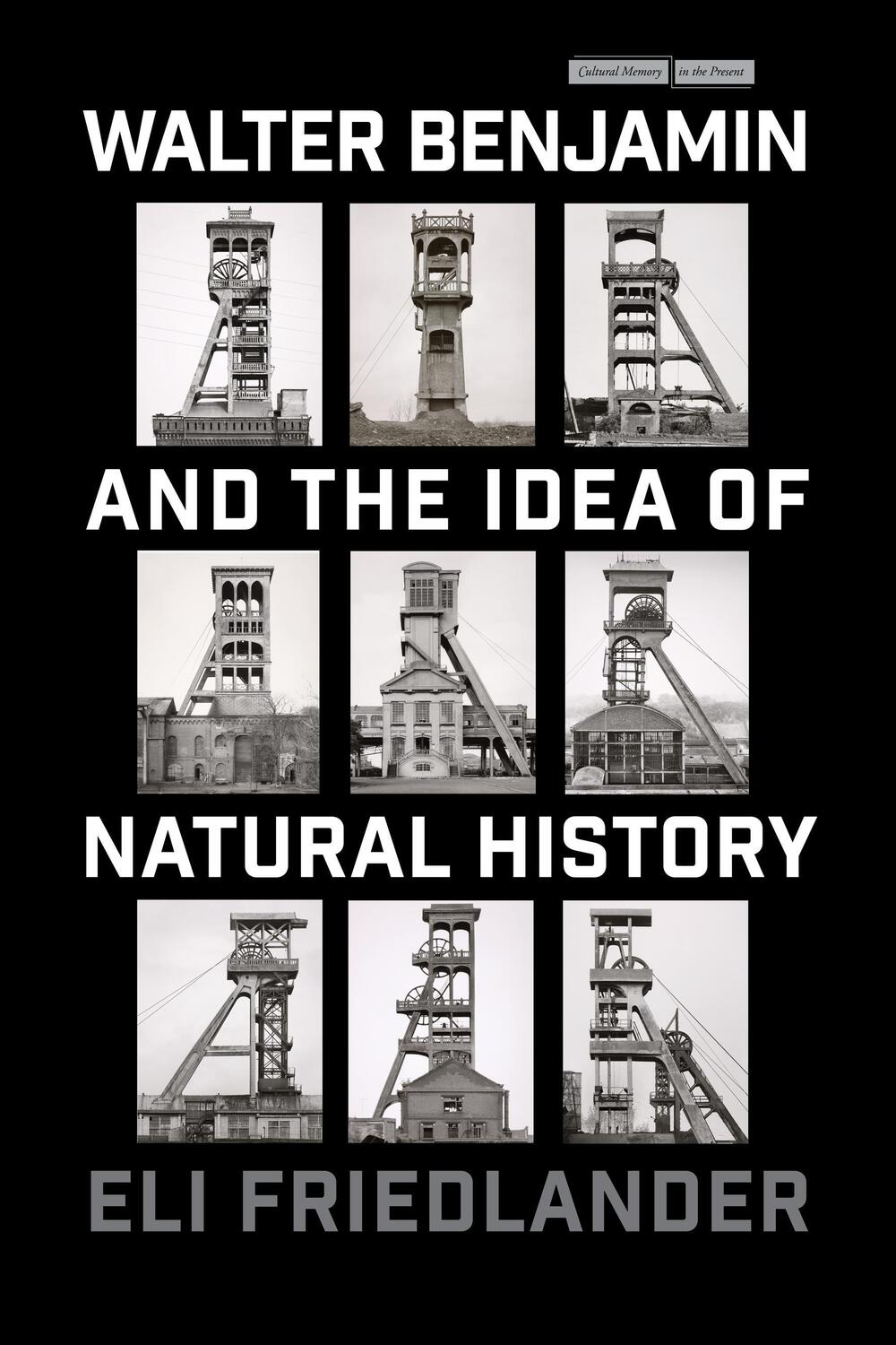 Cover: 9781503637702 | Walter Benjamin and the Idea of Natural History | Eli Friedlander