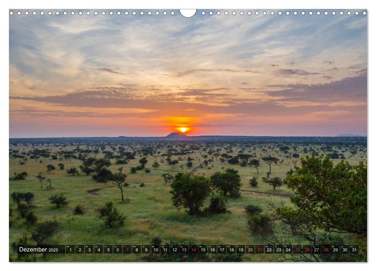 Bild: 9783435808168 | Abenteuer Tansania, Afrika (Wandkalender 2025 DIN A3 quer),...