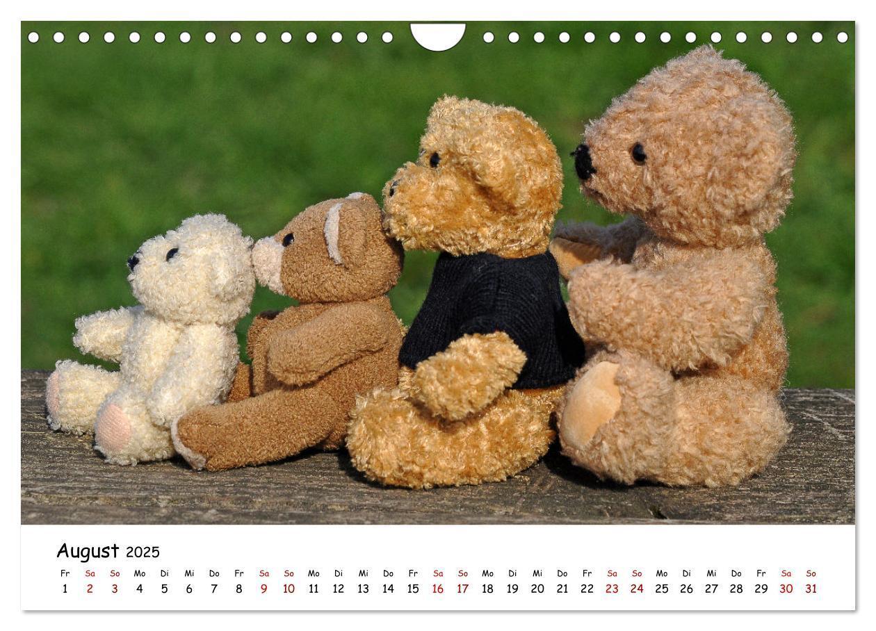 Bild: 9783383964954 | Allerliebste Teddybären (Wandkalender 2025 DIN A4 quer), CALVENDO...