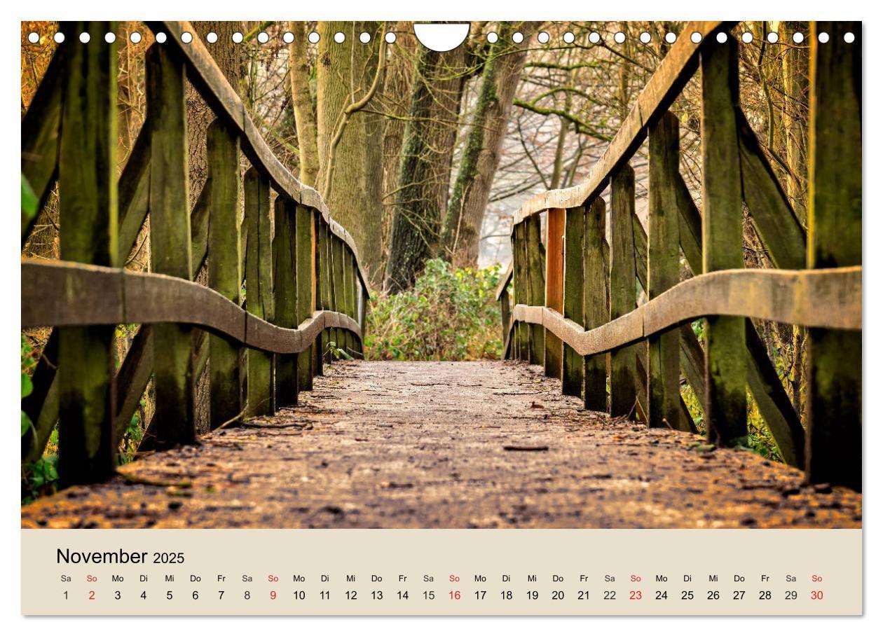 Bild: 9783435318612 | Der Wald. Durch zauberhafte Waldlandschaften (Wandkalender 2025 DIN...