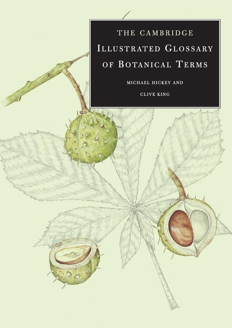 Cover: 9780521794015 | The Cambridge Illustrated Glossary of Botanical Terms | Hickey (u. a.)