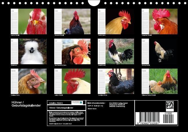 Bild: 9783660532081 | Hühner / Geburtstagskalender (Wandkalender immerwährend DIN A4 quer)