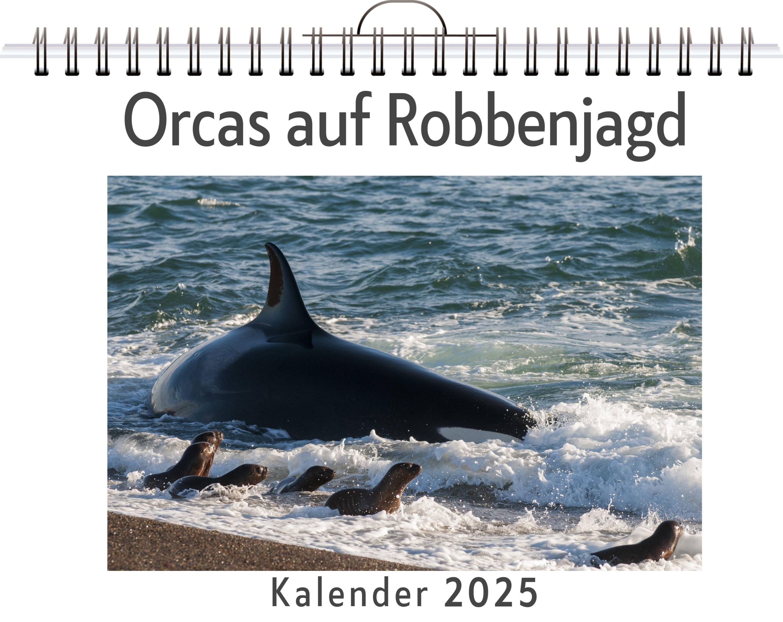 Cover: 9783759131676 | Orcas auf Robbenjagd | Eva Krause | Kalender | Kalender | 14 S.