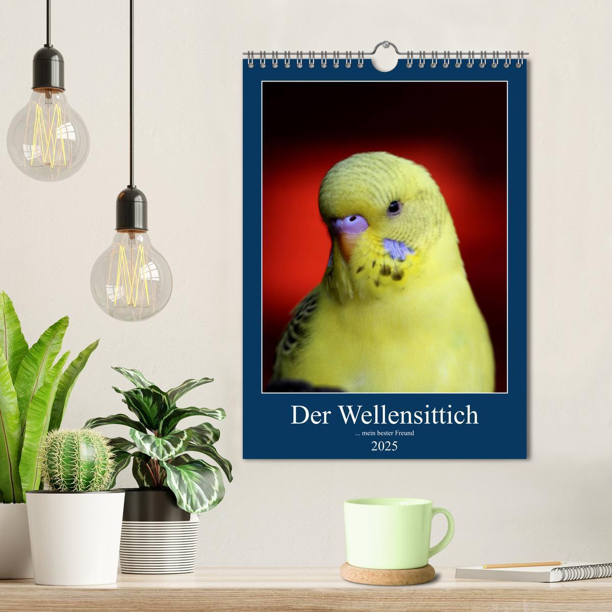 Bild: 9783435919680 | Der Wellensittich - mein bester Freund (Wandkalender 2025 DIN A4...