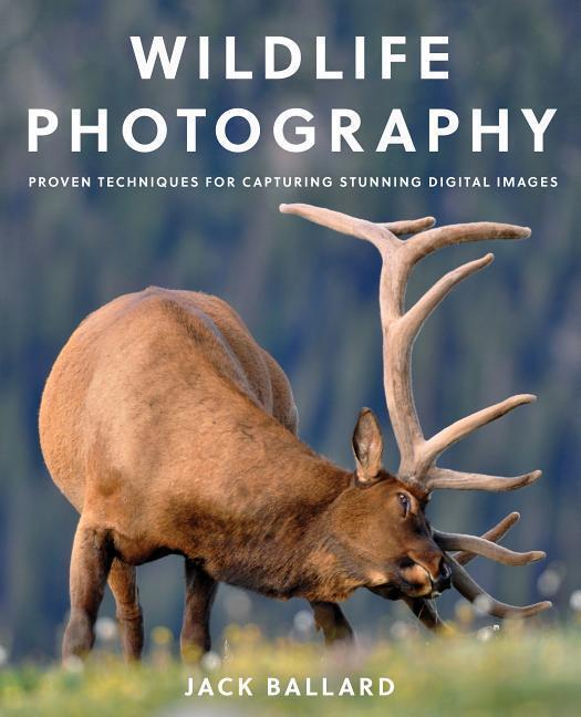 Cover: 9781493029556 | Wildlife Photography | Jack Ballard | Taschenbuch | Englisch | 2017