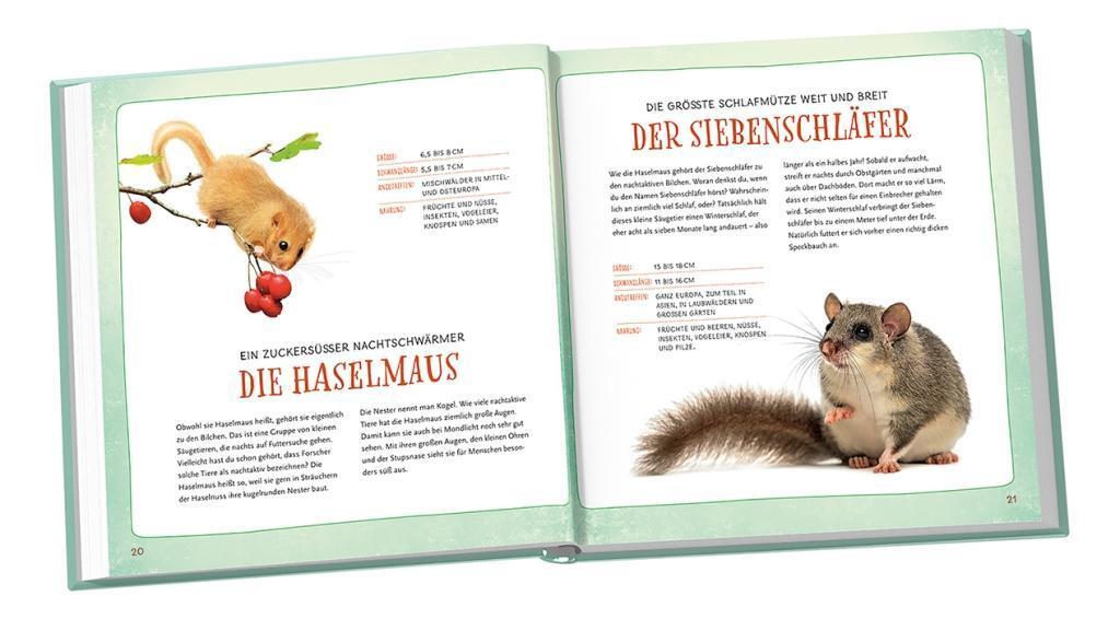 Bild: 9783440154816 | Ganz schön groß oder klitzeklein? | Jens Poschadel | Buch | Deutsch