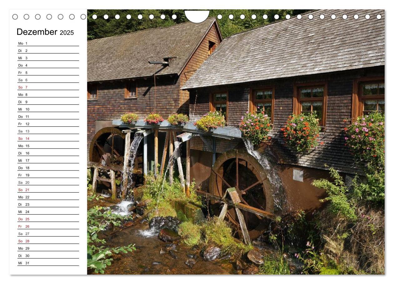 Bild: 9783435525058 | Südschwarzwald - Impressionen (Wandkalender 2025 DIN A4 quer),...