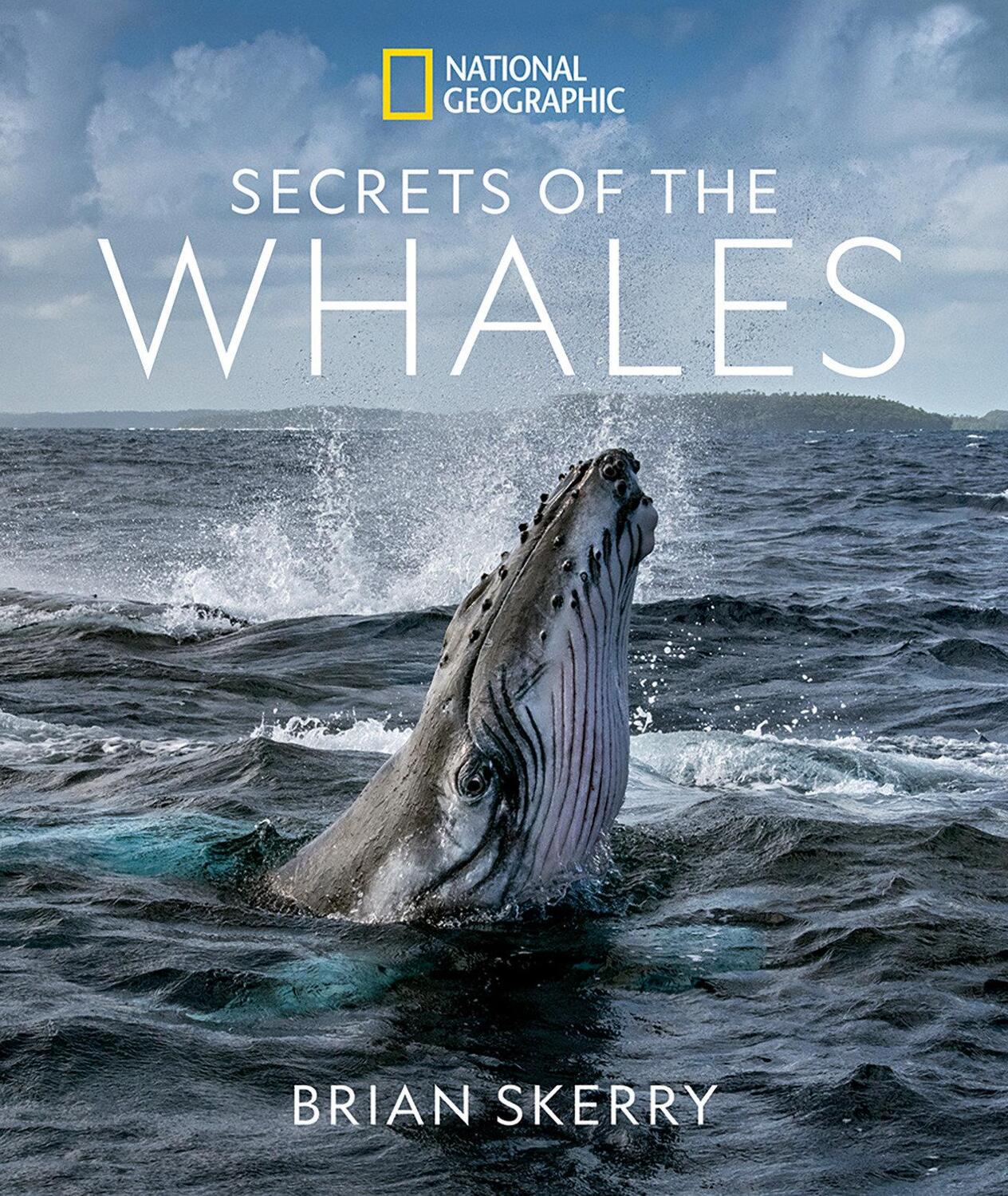 Cover: 9781426221873 | Secrets of the Whales | Brian Skerry | Buch | Englisch | 2021