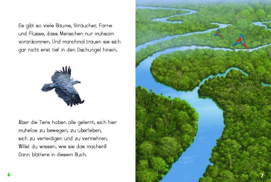 Bild: 9783968080116 | Bunter Regenwald | Tiergeschichten aus dem Amazonas | Jana Ullke