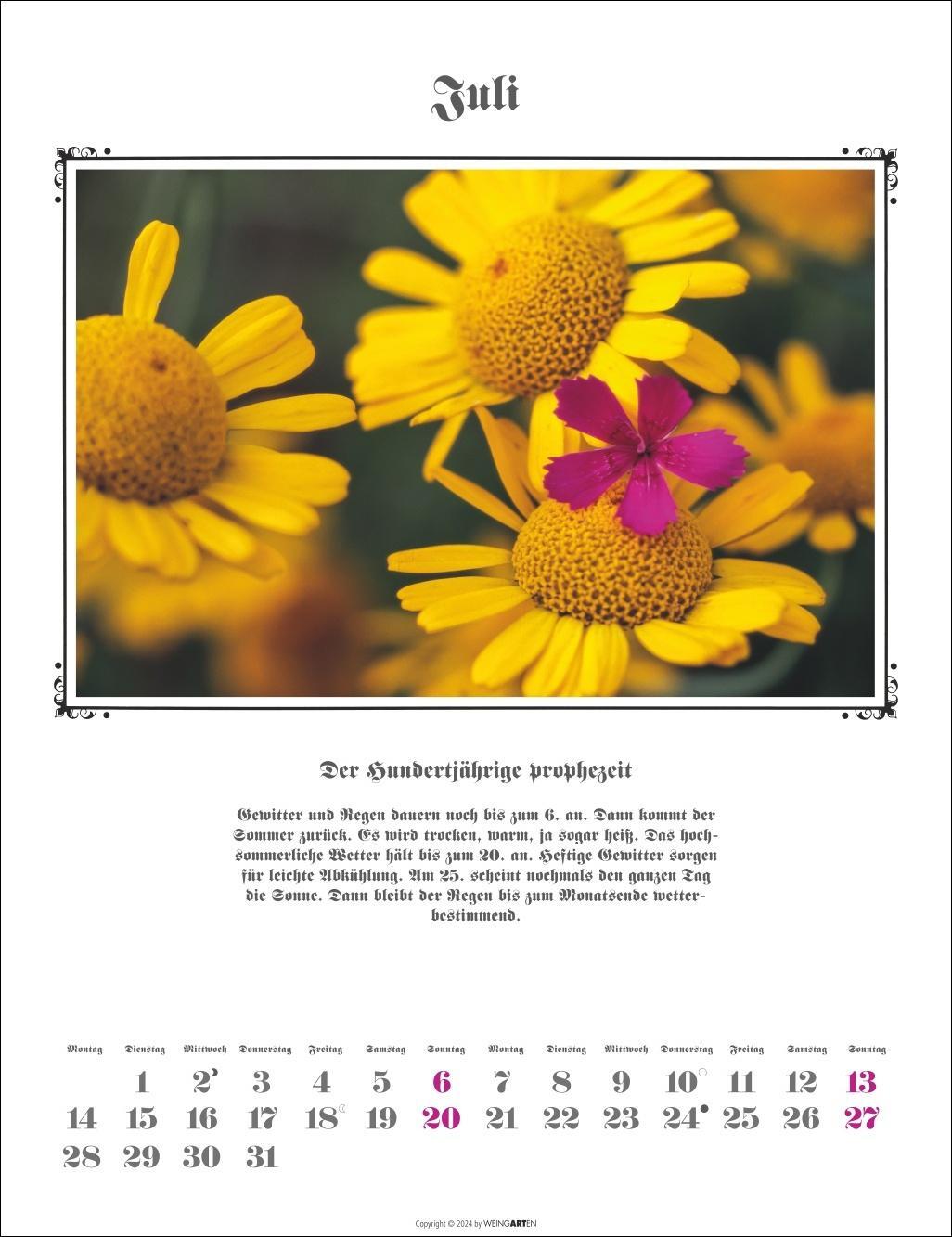 Bild: 9783839900482 | Der Hundertjährige Kalender 2025 | Kalender | Spiralbindung | 14 S.