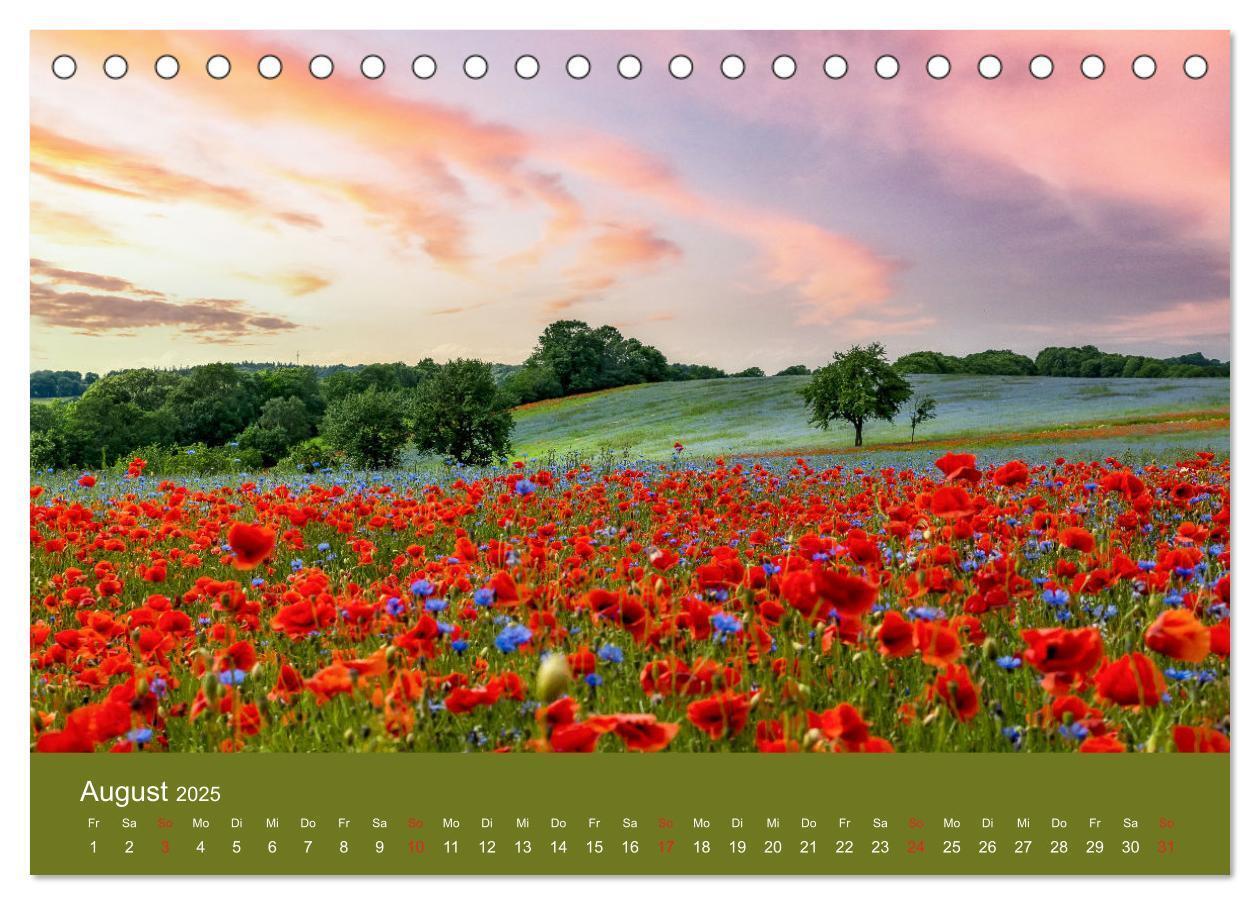 Bild: 9783435121458 | Mohnblumen Romantik (Tischkalender 2025 DIN A5 quer), CALVENDO...