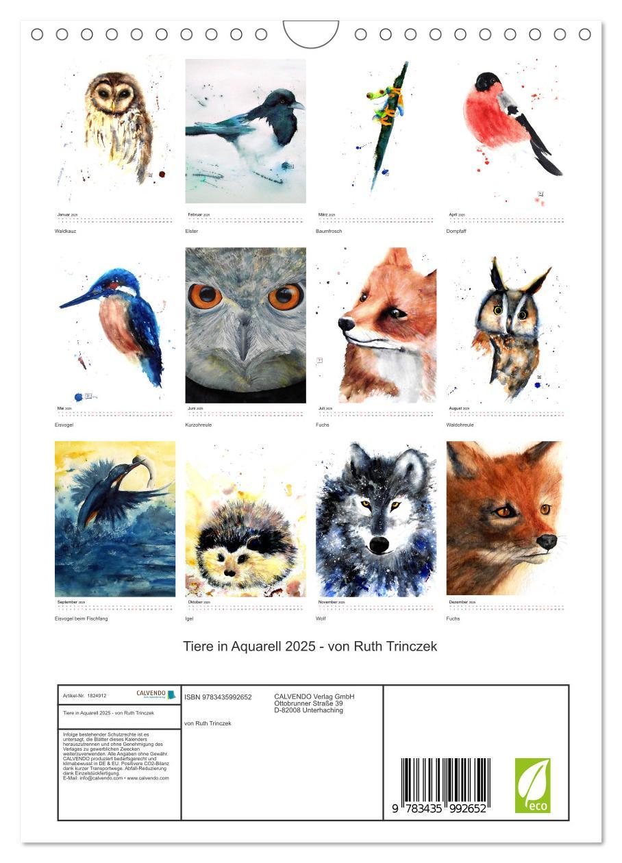 Bild: 9783435992652 | Tiere in Aquarell 2025 - von Ruth Trinczek (Wandkalender 2025 DIN...