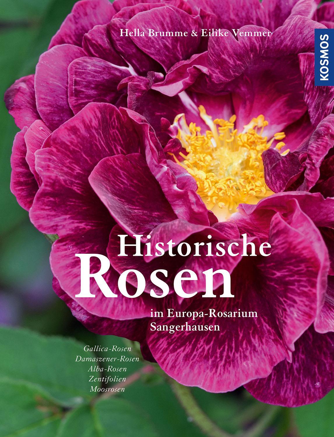 Cover: 9783440168578 | Historische Rosen | im Europa-Rosarium Sangerhausen | Brumme (u. a.)