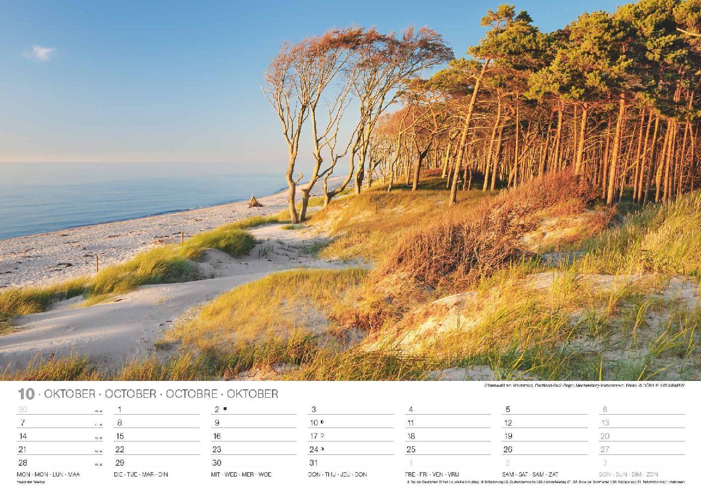 Bild: 4002725986696 | Malerische Ostseeküste 2024 - Wand-Kalender - 42x29,7 - Meer | NEUMANN