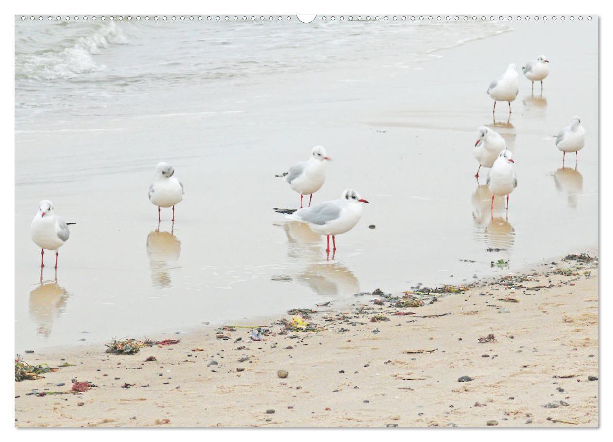 Bild: 9783383947100 | Ostseebad Kühlungsborn. Erholung mit allen Sinnen (hochwertiger...