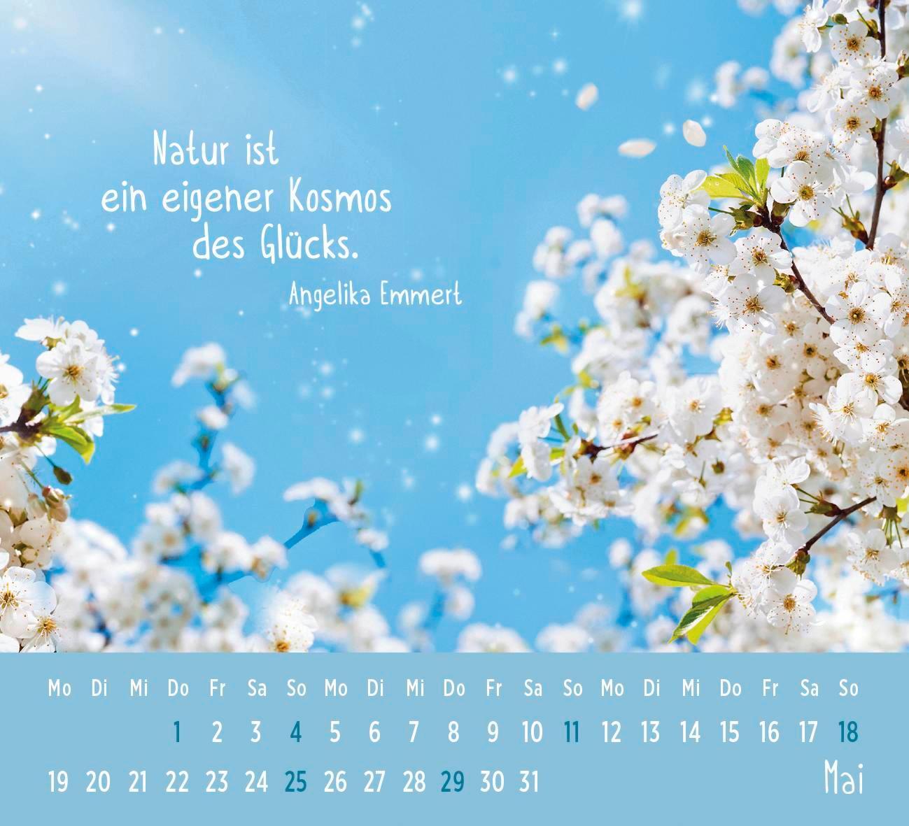 Bild: 4036442012178 | Mini-Kalender 2025: Der kleine Glückskalender | Groh Verlag | Kalender