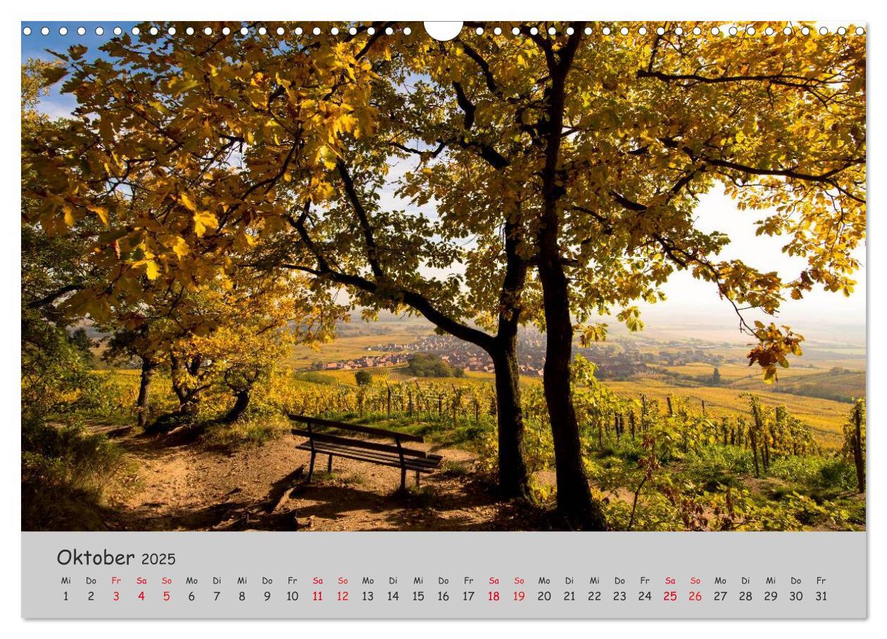 Bild: 9783435461141 | Region Elsass und Vogesen (Wandkalender 2025 DIN A3 quer), CALVENDO...