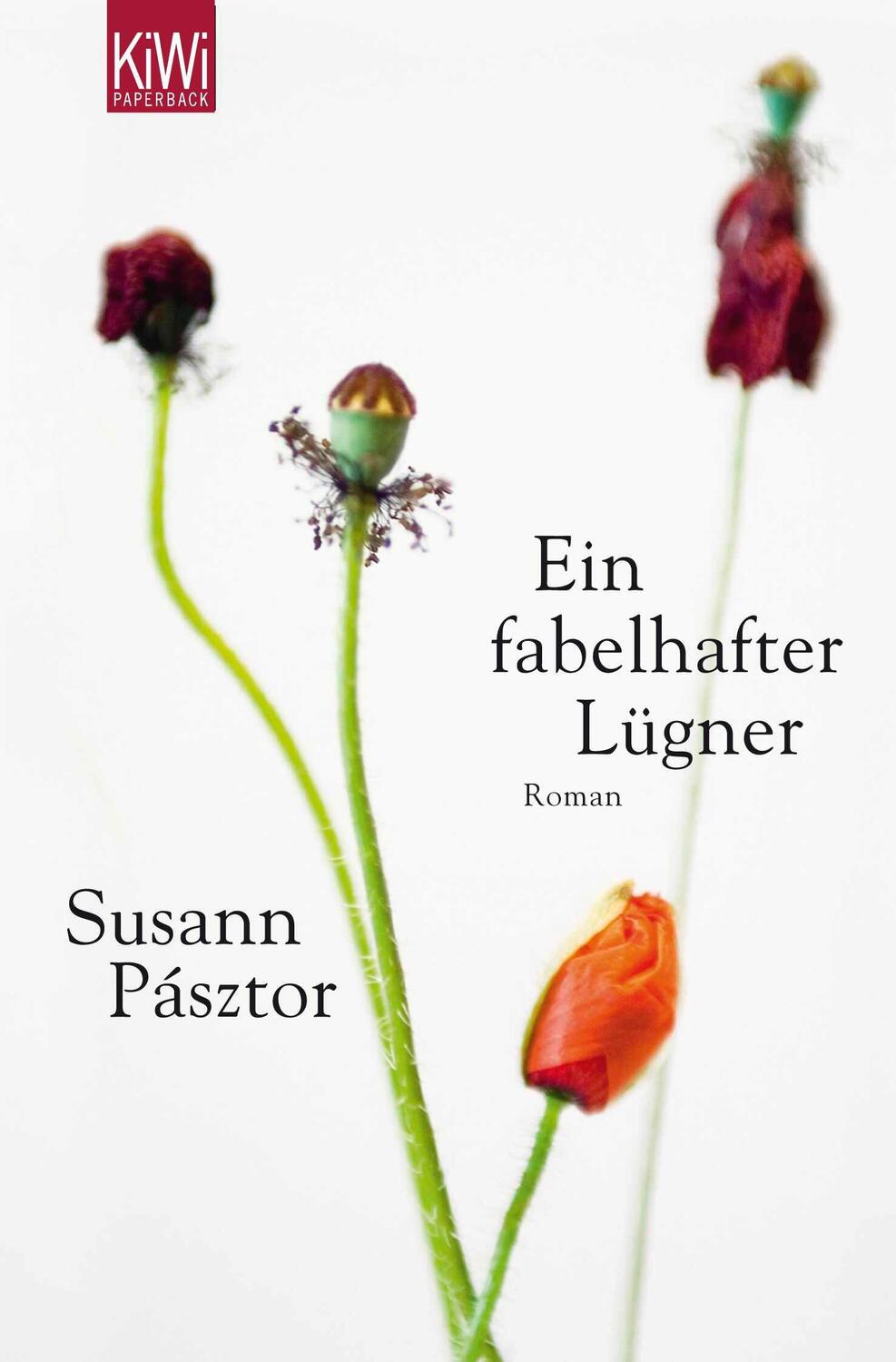 Cover: 9783462043105 | Ein fabelhafter Lügner | Susann Pásztor | Taschenbuch | KIWI | 208 S.