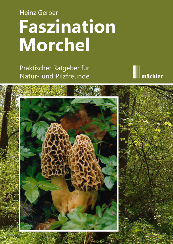 Cover: 9783905837414 | Faszination Morchel | Praktischer Ratgeber für Pilz- und Naturfreunde