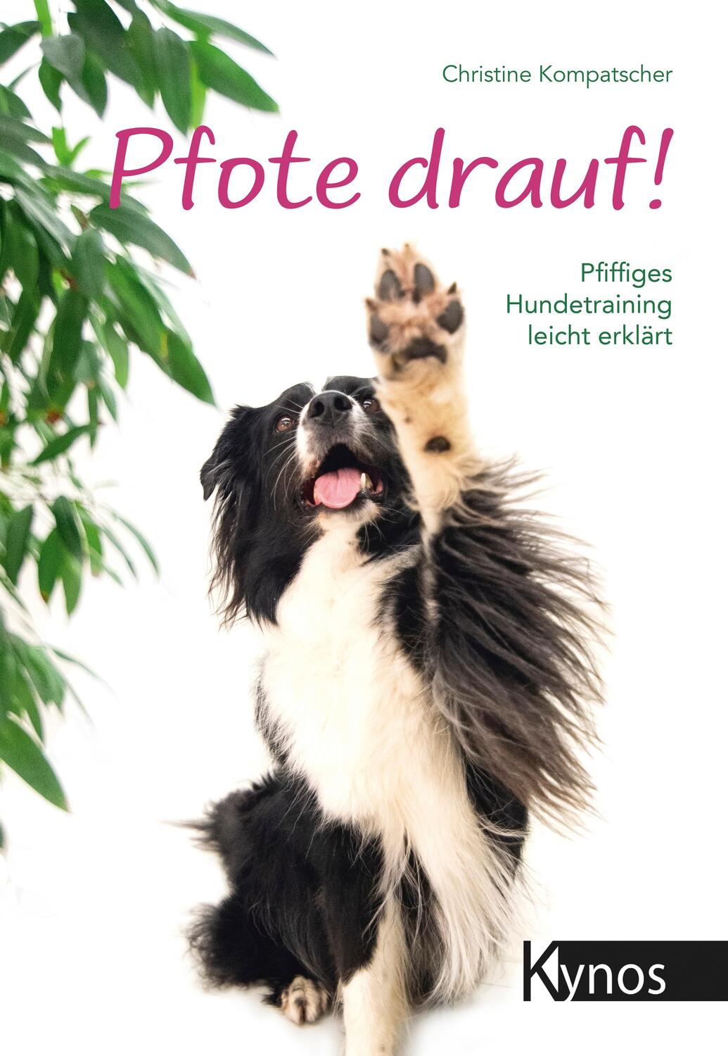 Cover: 9783954641932 | Pfote drauf! | Pfiffiges Hundetraining leicht erklärt | Kompatscher