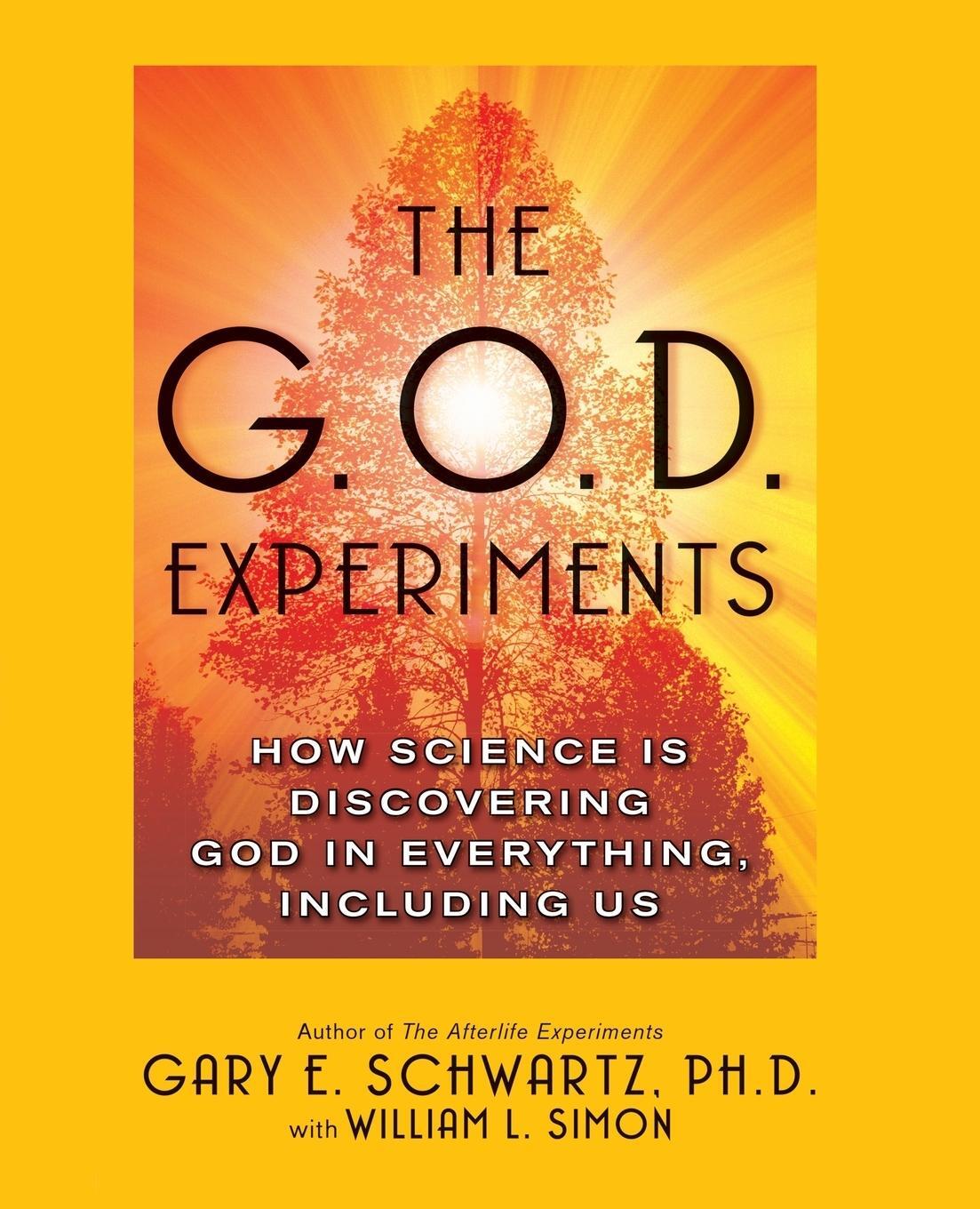 Cover: 9780743477413 | G.O.D. Experiments | Gary E. Schwartz | Taschenbuch | Paperback | 2007