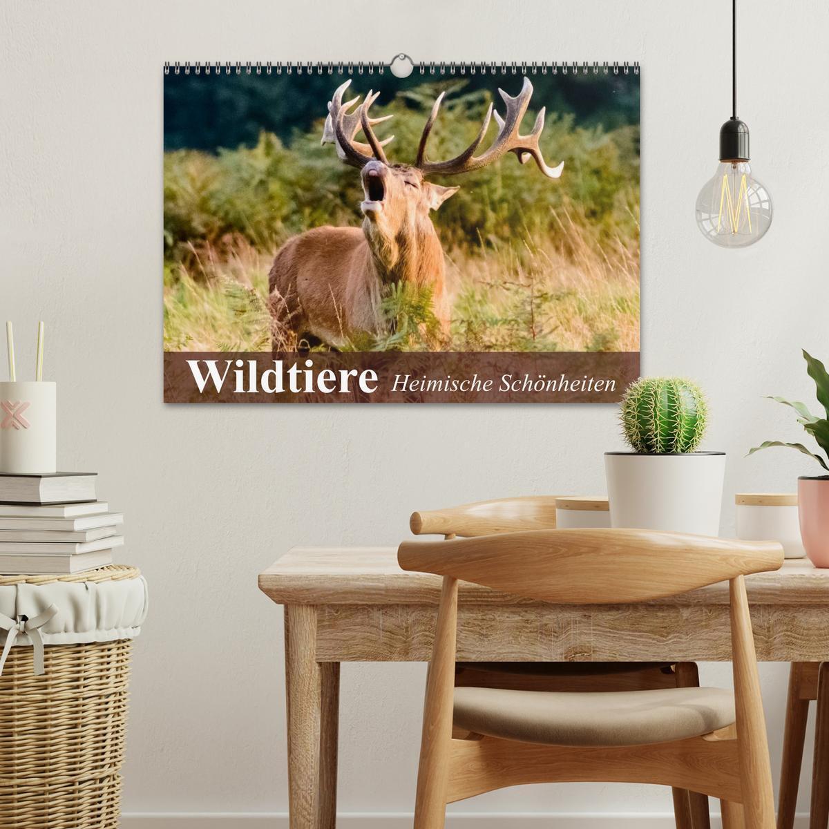 Bild: 9783435605927 | Wildtiere. Heimische Schönheiten (Wandkalender 2025 DIN A3 quer),...