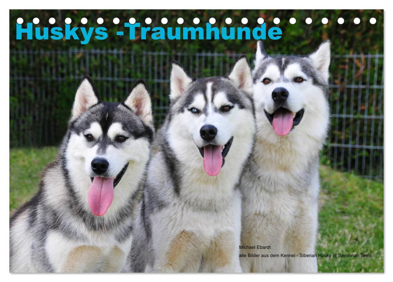 Cover: 9783675962323 | Huskys - Traumhunde (Tischkalender 2024 DIN A5 quer), CALVENDO...