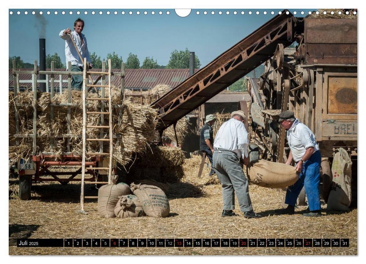 Bild: 9783435641154 | Landwirtschaft - Bilder von einst (Wandkalender 2025 DIN A3 quer),...