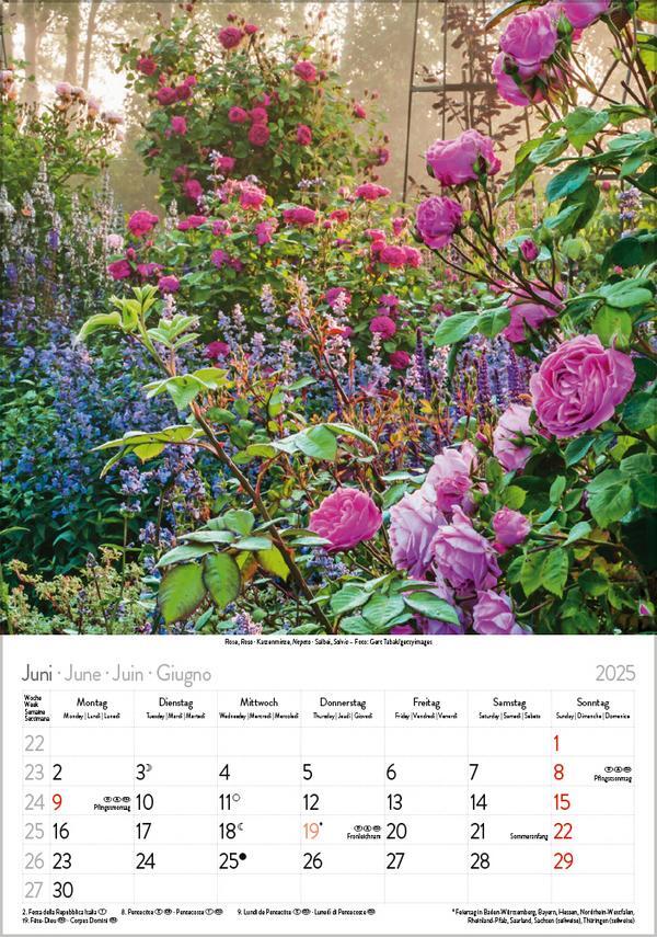 Bild: 9783731876144 | Blütenzauber 2025 | Verlag Korsch | Kalender | Spiralbindung | 13 S.