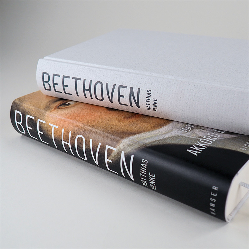 Bild: 9783446265783 | Beethoven | Akkord der Welt. Biografie | Matthias Henke | Buch | 2020